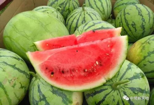 莱州今日吃瓜爆料视频 第1张 莱州今日吃瓜爆料视频 第1张